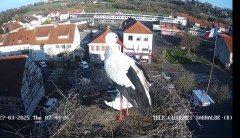 IMG_4921.jpeg
