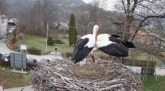 IMG_0679.jpeg