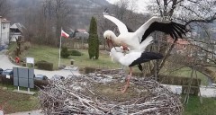 IMG_0680.jpeg