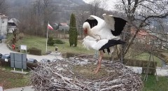 IMG_0682.jpeg