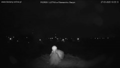 IMG_0832.jpeg