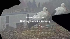 IMG_0843.jpeg
