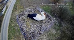 IMG_0845.jpeg