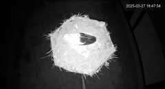 IMG_0844.jpeg