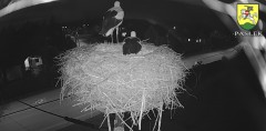 IMG_0846.jpeg