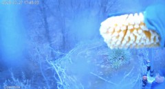 IMG_0763.jpeg