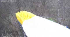 IMG_0765.jpeg