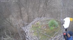 IMG_0768.jpeg