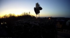 IMG_0853.jpeg