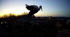 IMG_0857.jpeg