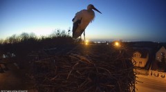 IMG_0860.jpeg