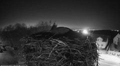 IMG_0863.jpeg