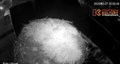IMG_0870.jpeg