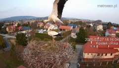 IMG_0871.jpeg
