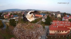 IMG_0877.jpeg
