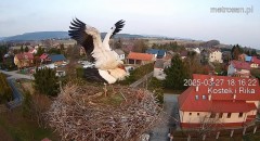 IMG_0878.jpeg
