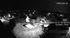IMG_0879.jpeg