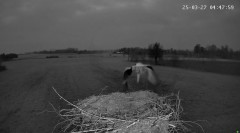 IMG_0704.jpeg