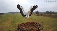 IMG_0707.jpeg