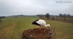 IMG_0708.jpeg