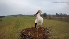 IMG_0709.jpeg