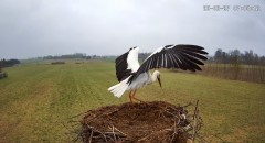IMG_0710.jpeg