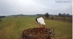 IMG_0711.jpeg