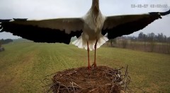 IMG_0712.jpeg
