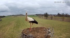 IMG_0721.jpeg