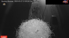 IMG_0881.jpeg