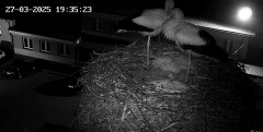 IMG_0864.jpeg