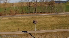 IMG_0888.jpeg