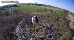 IMG_0909.jpeg