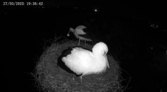 IMG_0907.jpeg