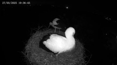 IMG_0908.jpeg