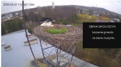 IMG_0735.jpeg