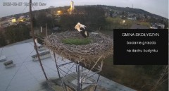 IMG_0840.jpeg