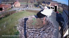 IMG_4952.jpeg