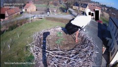 IMG_4953.jpeg
