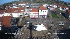 IMG_4954.jpeg