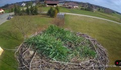 IMG_4955.jpeg