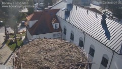 IMG_4967.jpeg