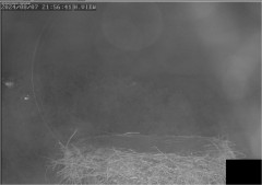 bandicam 2025-03-28 10-34-10-774.jpg