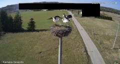 IMG_1196.jpeg