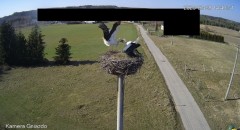 IMG_1197.jpeg