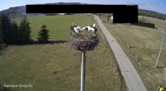 IMG_1199.jpeg