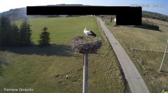 IMG_1201.jpeg