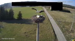 IMG_1205.jpeg