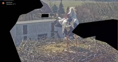 IMG_0998.jpeg