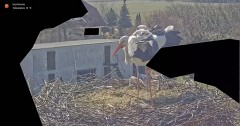 IMG_0999.jpeg